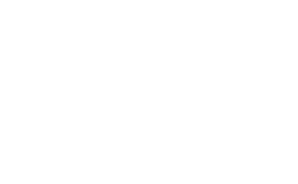 Partner System
